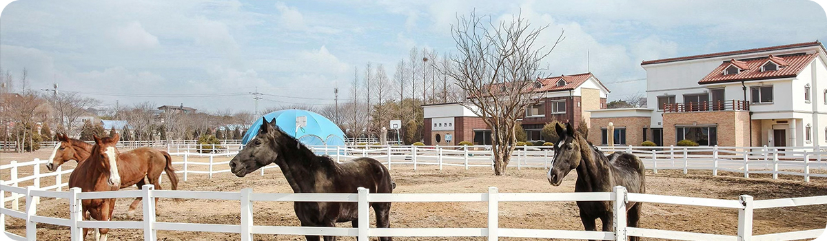 베르아델 펜션 전경