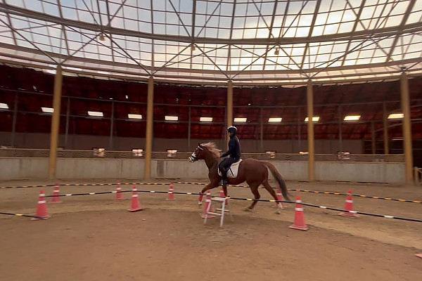 베르아델승마교육