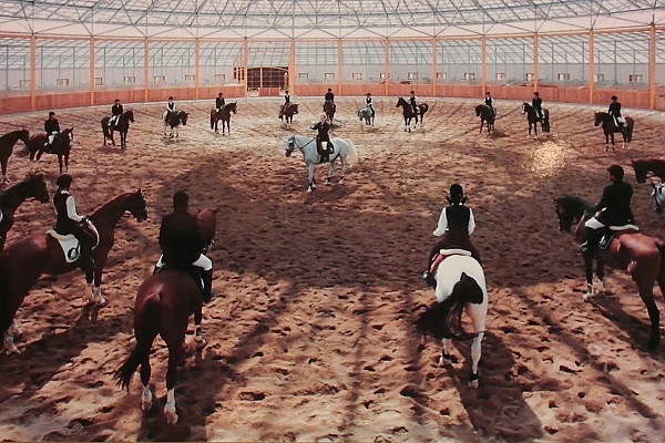 베르아델 승마클럽